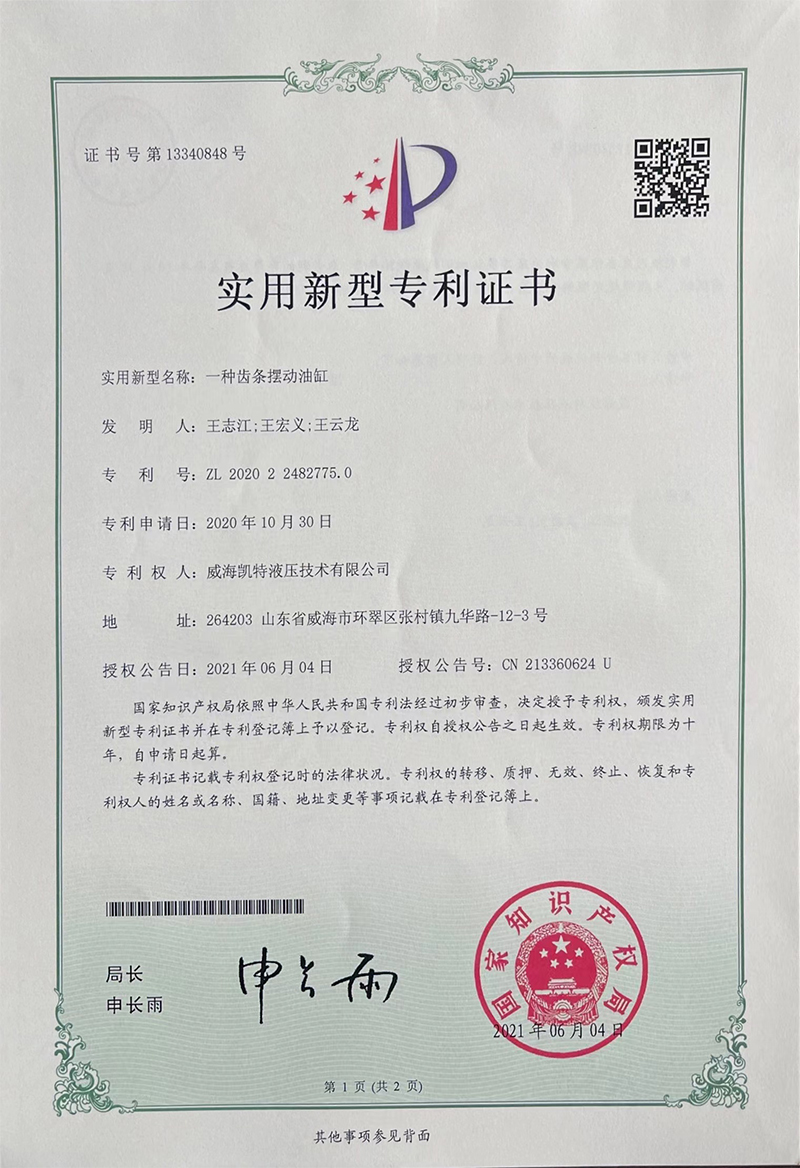 一种齿条摆动油缸-实用新型专利