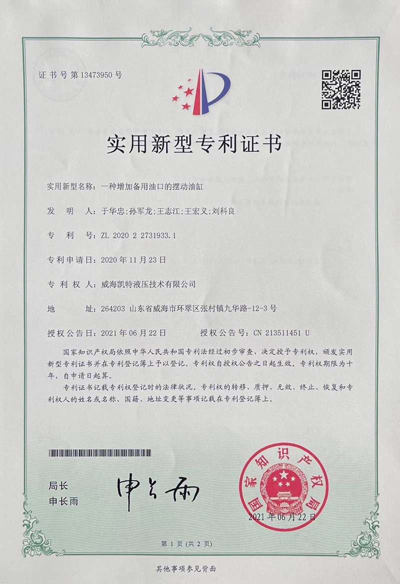 一种带备用油口的摆动油缸-实用新型专利